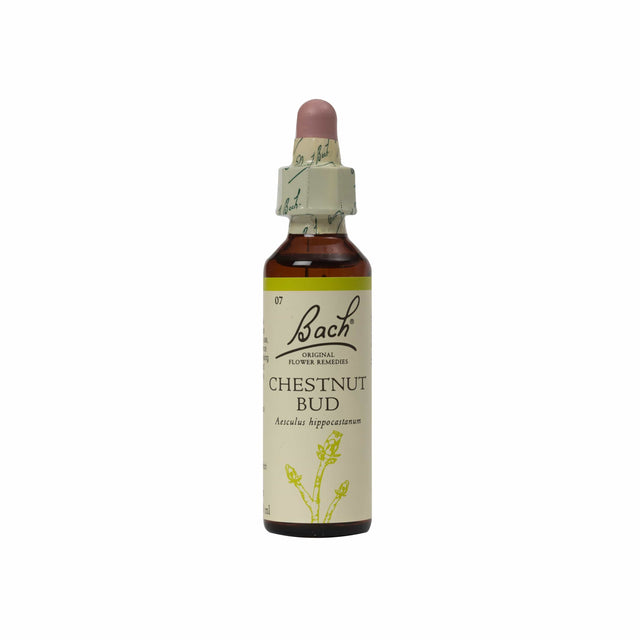 Bach Flower Chestnut Bud, 20ml